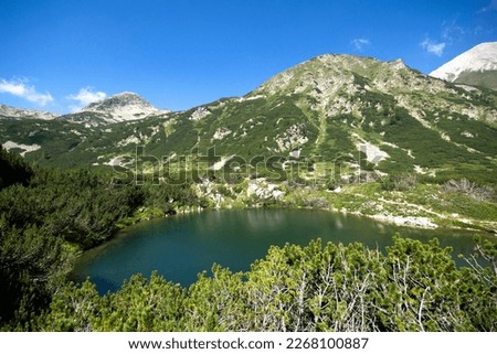 Amazing Summer view of Pirin Mountain around Banderitsa River, Bulgaria Royalty-Free Stock Photo #2268100887