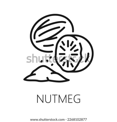 Fragrant or true nutmeg isolated outline icon. Vector pala edible seed, culinary spice, whole and grounded. Seed or ground spice of mace Royalty-Free Stock Photo #2268102877