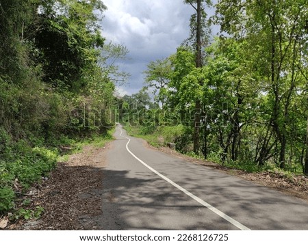 Photo of a road in the forest and mountains