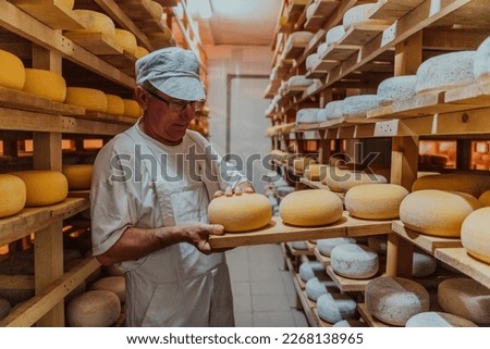 A worker at a cheese factory sorting freshly processed cheese on drying shelves Royalty-Free Stock Photo #2268138965