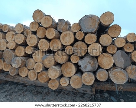 cartoon timber.wood log and trunk,stump and plank. wooden firewood logs. hardwoods construction materials