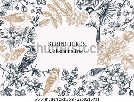 Spring garden background. Vintage frame designs with birds, flowers, leaves and blooming tree branches. Hand drawn almond, willow, rowan, willow, cherry blossom floral sketches for prints or banners