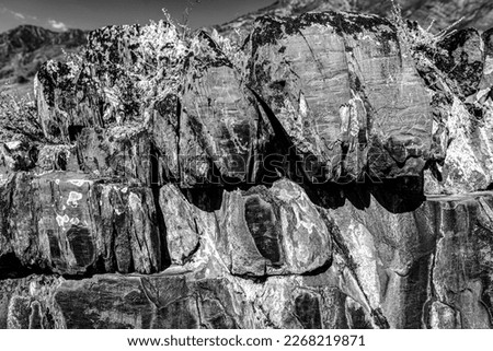 Rock drawing of ancient people of different animal deer with horns and people of hunters and warriors on a stone in the Altai mountains in Siberia in the sun. Black and white photo.