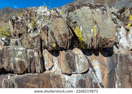 Panorama rock drawing of ancient people petroglyph animal deer with antlers and people hunters on bright stones in mountains in Siberia in Altai.