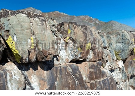 Panorama rock drawing of ancient people petroglyph animal deer with antlers and people hunters on bright stones in the mountains in Siberia in Altai in summer under the sky.