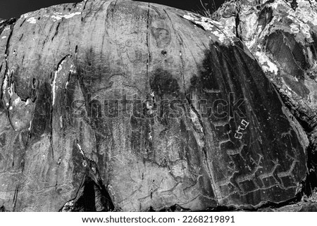 Rock drawing of ancient people animals deer strange people warriors on a stone in the Altai mountains in the sun. Black and white photo.
