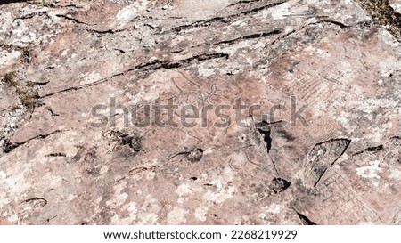 Rock paintings of ancient man animals and people hunters and strange on a stone in the Altai mountains in the sunlight.