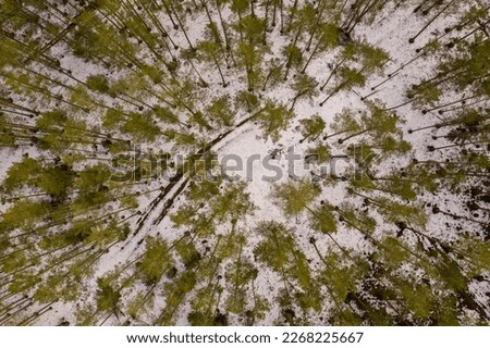 Drone photography of winter forest landscape and road during winter day