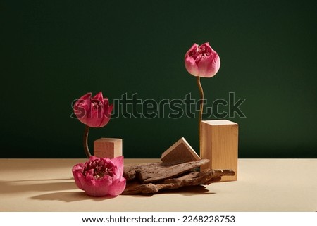 Front view of some lotus flowers (Nelumbo nucifera) standing beside wooden podiums and tree branch. Concept of minimalism