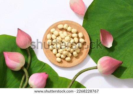 Top view of (Nelumbo nucifera) Pink lotus flowers, green leaves, fresh white lotus seeds on white background. Abstract concept with harmonious colors, this food helps to be healthy, sleep well.