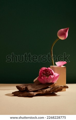 A lotus flower (Nelumbo nucifera) and a lotus bub embellished with wooden podium and tree branches on the dark green background. Empty space for text or product adding