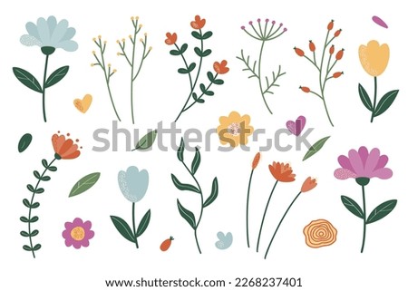 A set of twigs and flowers for decoration. Vector illustration of stylized plants in flat style. Isolated on a white background. Royalty-Free Stock Photo #2268237401