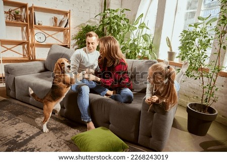 Portrait of beautiful young man and woman, playing with child and don at home on sofa. Sunny day, weekends with family. Concept of relationship, family, parenthood, childhood, animal life