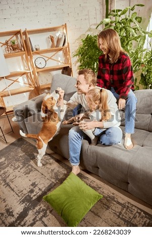 Happy, cute, lovely family with kid spending time together on warm sunny day at home. People playing with dog, beagle in living room at home. Relationship, family, parenthood, childhood, animal life