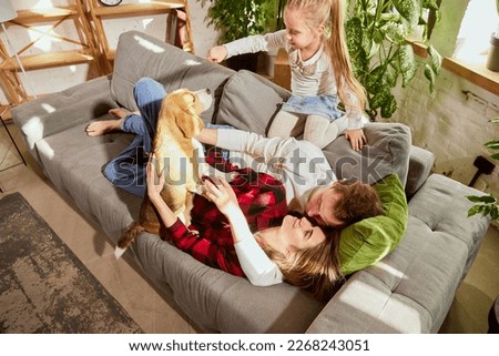 Woman, man and girl, child playing with cute dog, beagle in living room at home. Family spending time together. Concept of relationship, family, parenthood, childhood, domestic animal life