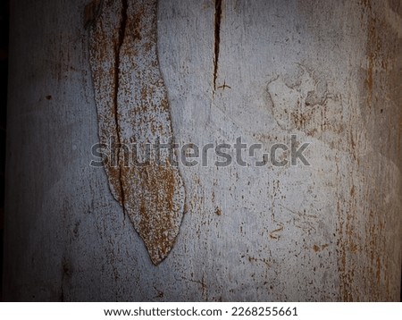 Eucalyptus bark texture, close-up shot for nature background.