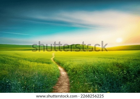 Picturesque winding path through a green grass field in hilly area in morning at dawn against blue sky with clouds. Natural panoramic spring summer landscape. Royalty-Free Stock Photo #2268256225