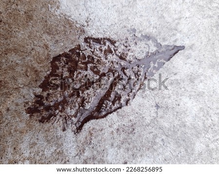 The imprint of a fallen autumn leaf on wet concrete close-up.