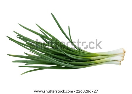 Young green onion isolated on white background with clipping path. Full Depth of field. Focus stacking.  Royalty-Free Stock Photo #2268286727