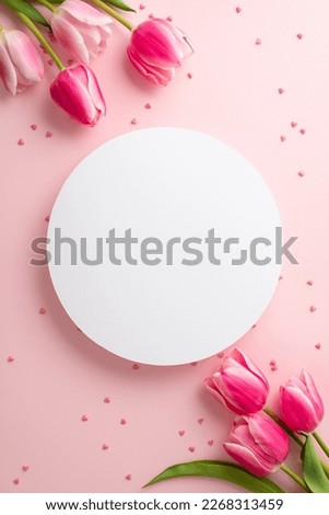 8 march concept. Top view vertical photo of bunches of white circle pink tulips and scattered sprinkles on isolated pastel pink background with copyspace