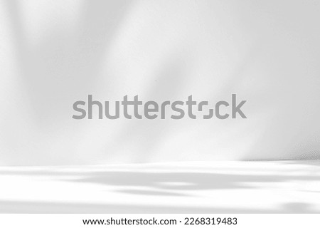 Abstract white studio background for product presentation. Empty room with shadows of window and flowers and palm leaves . 3d room with copy space. Summer concert. Blurred backdrop. Royalty-Free Stock Photo #2268319483
