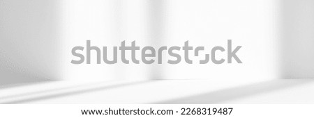 Abstract white studio background for product presentation. Empty room with shadows of window. Display product with blurred backdrop. Banner