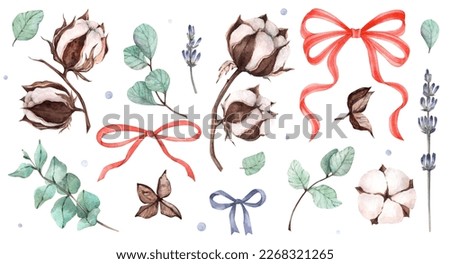 watercolor set of cottons and eucalyptus branches and bows