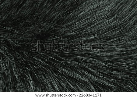 Dark green fur texture as background