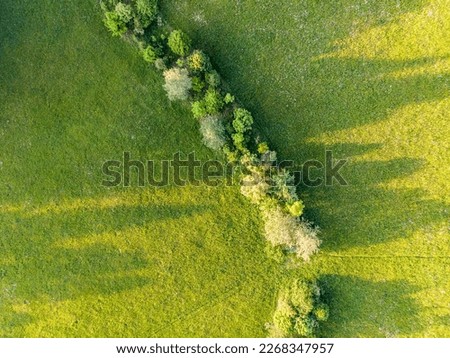 Aerial view of a country line in spring in soft evening light