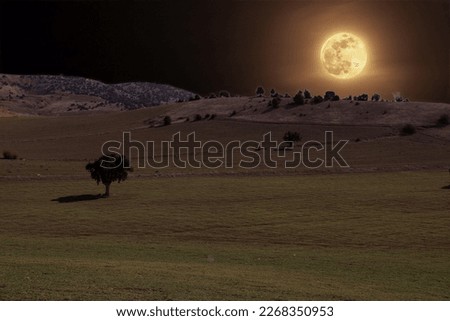A full moon over a field with a field and a field with a field and trees.