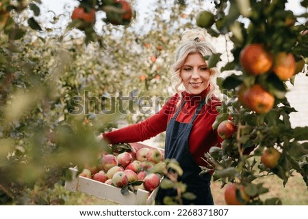 Cute farmer woman with freshly harvested apples in wooden box. Agriculture and gardening concept