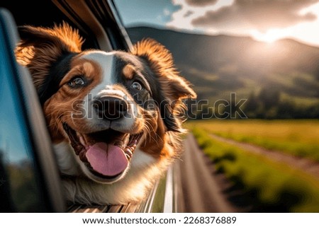 Happy dog with head out of the car window having fun Royalty-Free Stock Photo #2268376889
