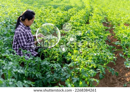A woman farmer with digital tablet on a potato field. Smart farming and precision agriculture 4.0. modern agricultural technology and data management to industry farm. Royalty-Free Stock Photo #2268384261
