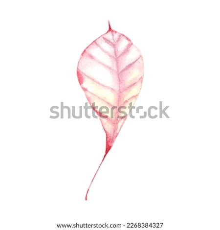  Watercolor autumn clip art set. Watercolor set of beautiful colourful autumn leaves.   

