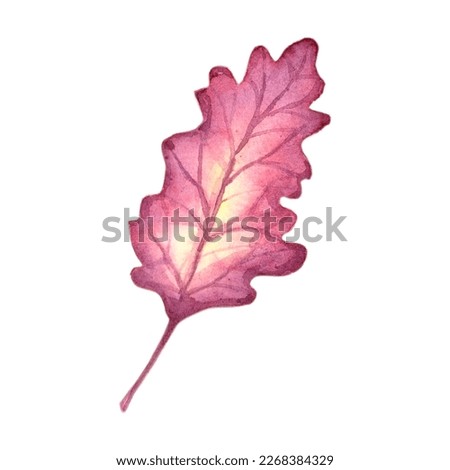 Watercolor autumn clip art set. Watercolor set of beautiful colourful autumn leaves.   