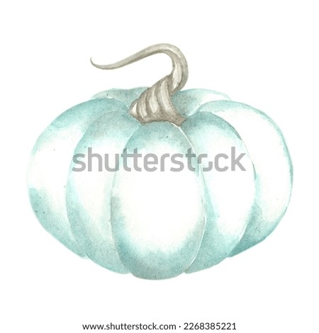 Watercolor autumn food clip art. Watercolor fall pumpkins set on white backdrop. Autumn harvest clipart. Farm healthy food. Party decoration. Plant floral design. Hand painted illustration