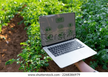 A woman farmer with laptop computer on a potato field. Smart farming and precision agriculture 4.0. modern agricultural technology and data management to industry farm.