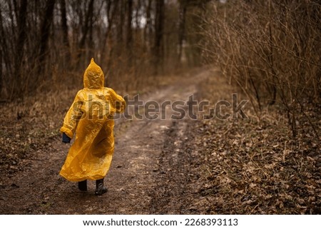 Rear view of boy in yellow raincoat walking in the forest after rain.