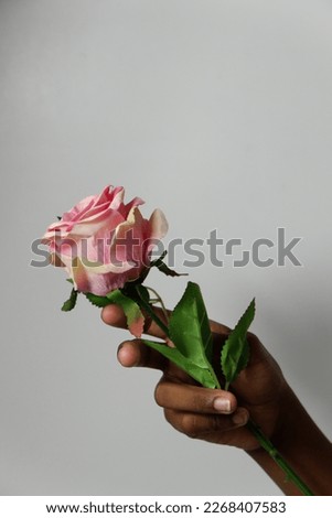 flower with white background in selective focus