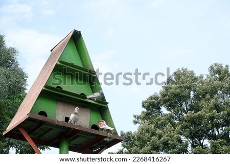 pigeon house in city park                              