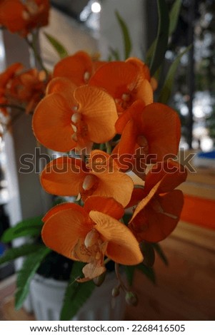    Picture of bright and beautiful plastic orchids                            