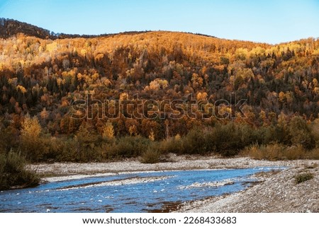 Orange-red background of autumn forest and river