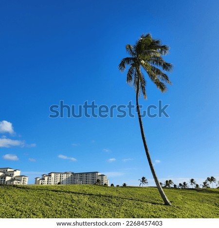 Pictures of the beautiful sky and scenery of Hawaii