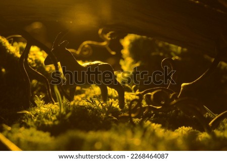 wallpaper background forest and kasulya deer in the silence of the dawn enchanted forest goes through twisted branches and roots gently stepping on the dimly lit forest grass animal made of plasticine