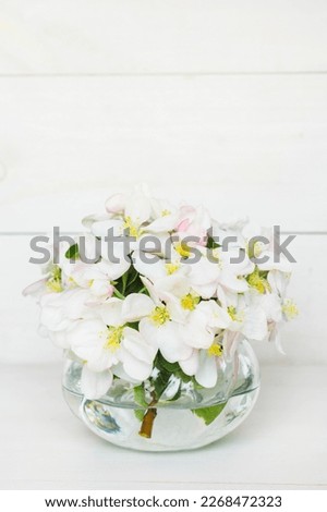 A beautiful sprig of an apple tree with white flowers in a glass vase against a white wooden background. Blossoming branch in a glass with water. Spring still life. Concept of spring or mom day