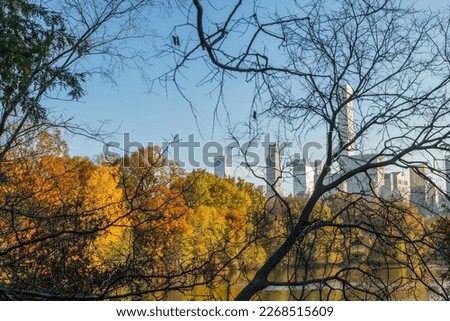 NEW YORK, NEW YORK – USA NOVEMBER 10: Midtown Manhattan skyscraper stands beyond row of autumnal leaf colored trees along The Lake during autumn season in Central Park on November 10, 2022 in New York