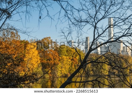 NEW YORK, NEW YORK – USA NOVEMBER 10: Midtown Manhattan skyscraper stands beyond row of autumnal leaf colored trees along The Lake during autumn season in Central Park on November 10, 2022 in New York Royalty-Free Stock Photo #2268515613