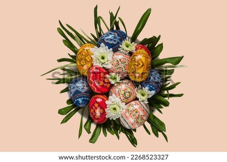 Easter eggs and spring flower on green grass on the plate on isolated transparent png background top view. High quality photo