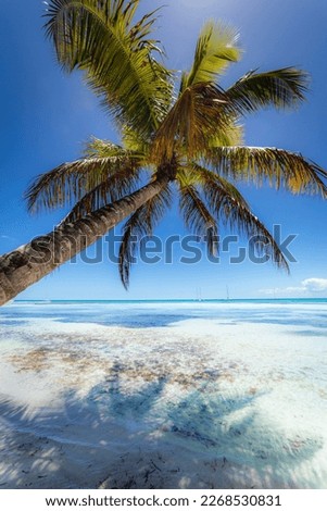 Boats and tropical beach in caribbean sea, idyllic Saona island, Punta Cana, Dominican Republic Royalty-Free Stock Photo #2268530831