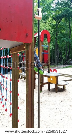 abandoned playground with playground equipment